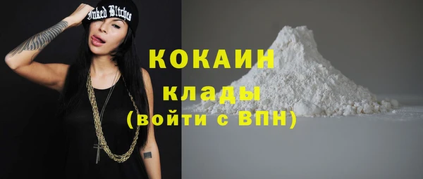 крисы Гусев