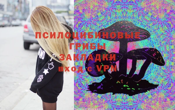 2c-b Гусиноозёрск