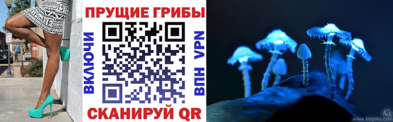 Галлюциногенные грибы MAGIC MUSHROOMS  Мончегорск 