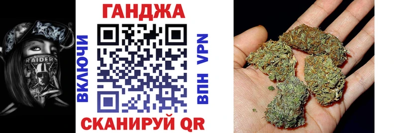 Конопля гибрид  Мончегорск 